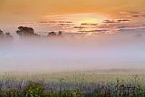 Misty Sunrise_26787